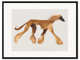 Gerahmter Kunstdruck Afghanischer Windhund