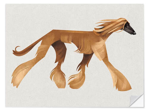Vinilo para la pared Afghan Hound