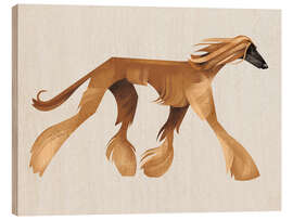 Trätavla Afghan Hound - Dieter Braun