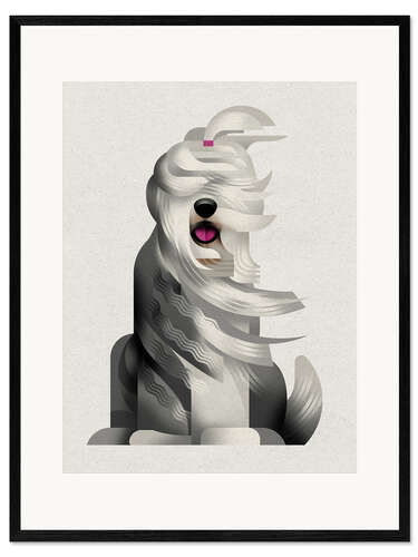 Framed art print Bobtail