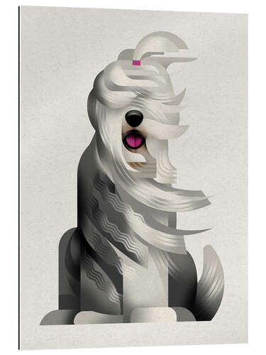 Gallery Print Bobtail