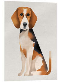 Acrylic print Beagle