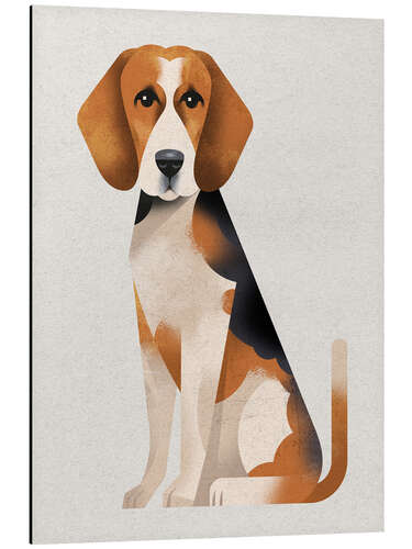 Aluminium print Beagle