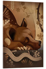 Acrylglasbild Braunbär im Winterschlaf - Dieter Braun