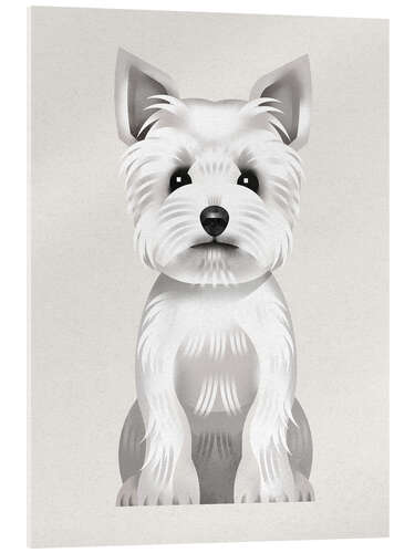 Cuadro de metacrilato West Highland Terrier