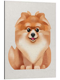 Aluminiumsbilde Pomeranian Dog