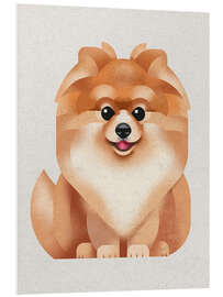 PVC-tavla Pomeranian Dog