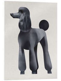 Quadro em acrílico Poodle - Dieter Braun