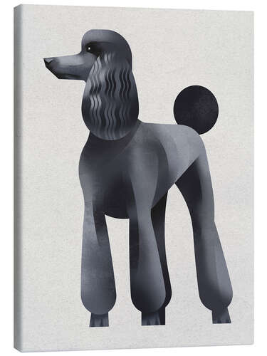 Stampa su tela Poodle