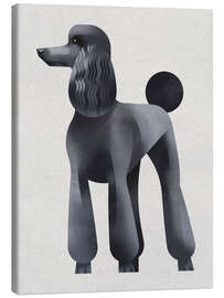 Lienzo Poodle - Dieter Braun