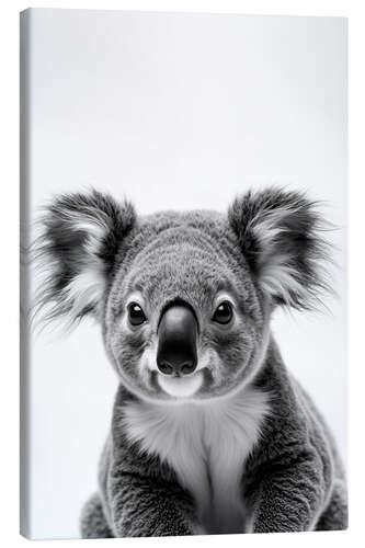 Tableau sur toile Baby Koala