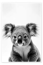 Poster Baby Koala - nobelart