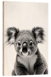 Puutaulu Baby Koala