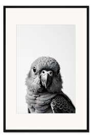 Gerahmter Kunstdruck Baby Papagei