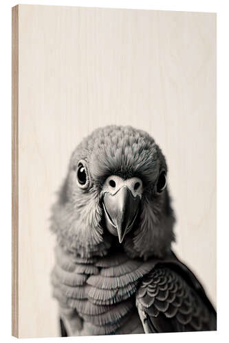 Puutaulu Baby Parrot