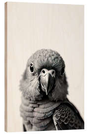 Wood print Baby Parrot