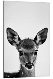 Magnettafel Baby Rehkitz