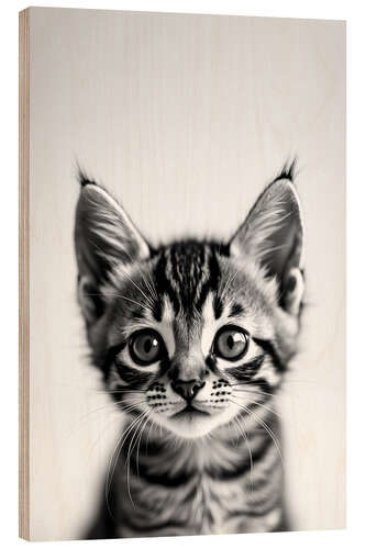 Puutaulu Baby Cat