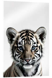 Acrylic print Baby Tiger - nobelart