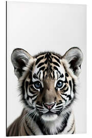 Aluminium print Baby Tiger