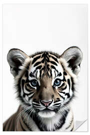 Vinilo para la pared Baby Tiger