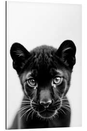 Aluminium print Baby Panther