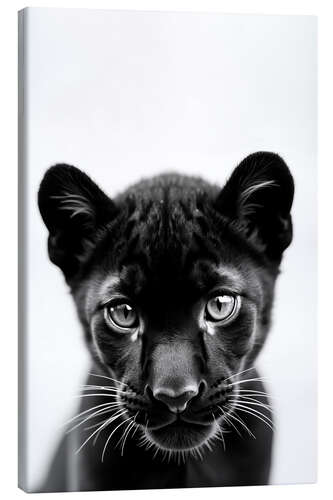 Tableau sur toile Baby Panther