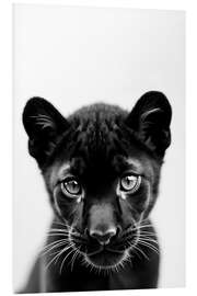 Foam board print Baby Panther