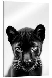 Galleriataulu Baby Panther