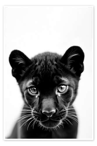 Póster Baby Panther