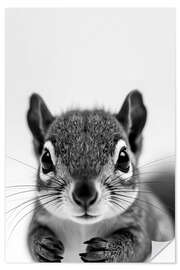 Autocolante decorativo Baby Squirrel - nobelart