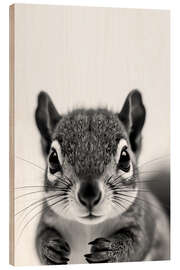 Trätavla Baby Squirrel - nobelart