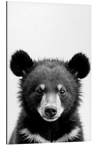 Aluminium print Baby Bear