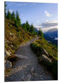 Gallery Print Alpiner Wanderweg, Graubünden, Schweiz