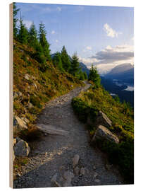Trätavla Alpine hiking trail, Graubünden, Switzerland - Peter Wey