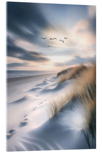 Stampa su vetro acrilico Seagulls flying over the beach