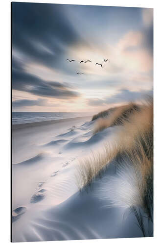 Aluminium print Seagulls flying over the beach