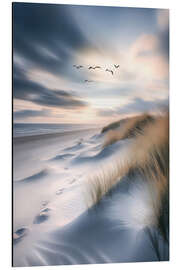 Quadro em alumínio Seagulls flying over the beach