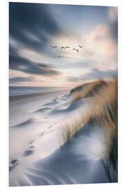 PVC print Seagulls flying over the beach