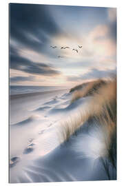 Gallery print Seagulls flying over the beach
