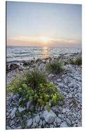 Aluminiumsbilde Pebble beach and sunset in Croatia - Jan Wehnert