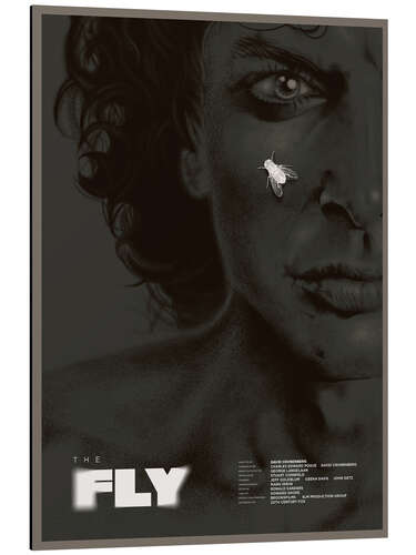 Alumiinitaulu The fly