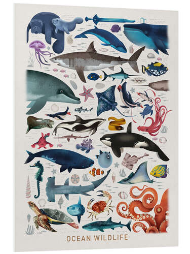 Foam board print Ocean Wildlife II