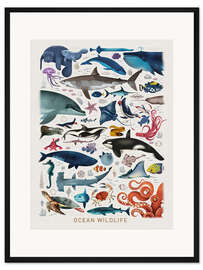 Gerahmter Kunstdruck Meerestiere II