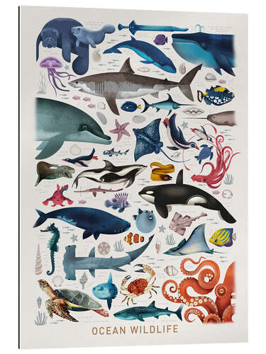 Gallery print Ocean Wildlife II