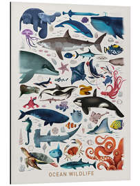 Magnettafel Meerestiere II