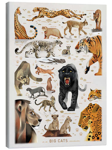 Canvas print Big Cats II