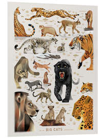 Foam board print Big Cats II