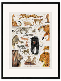 Impression artistique encadrée Big Cats II