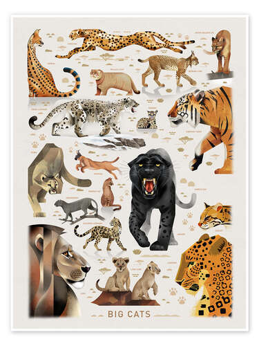 Juliste Big Cats II